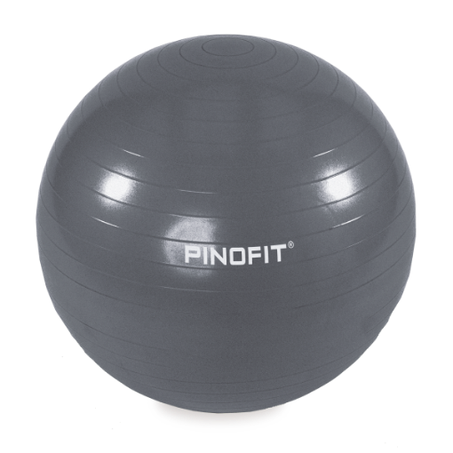 Poza cu Minge Gimnastica 65cm Gri - PINOFIT® ANTIBURST